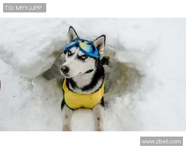 足球明星搞笑瞬间合集那些让人哭笑不得的愚蠢行为视频大盘点